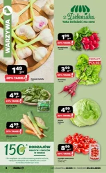 Dyskontowe asy - Netto