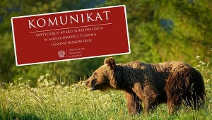 Prokuratura wszczęła śledztwo po śmiertelnym ataku niedźwiedzia w Płonnej