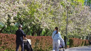 Te imiona w Małopolsce występują wyjątkowo rzadko. Co oznaczają?