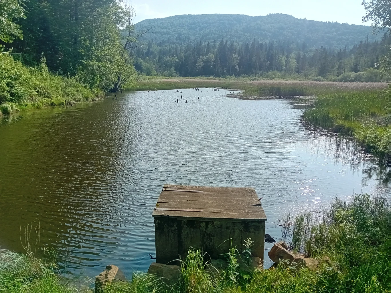Jeziorko Bobrowe zaskakuje niejednego swym wyglądem Jeziorko Bobrowe, płytkie jezioro otoczone zielenią, stary betonowy pomost, zalesione wzgórza w tle, ptaki wodne.
