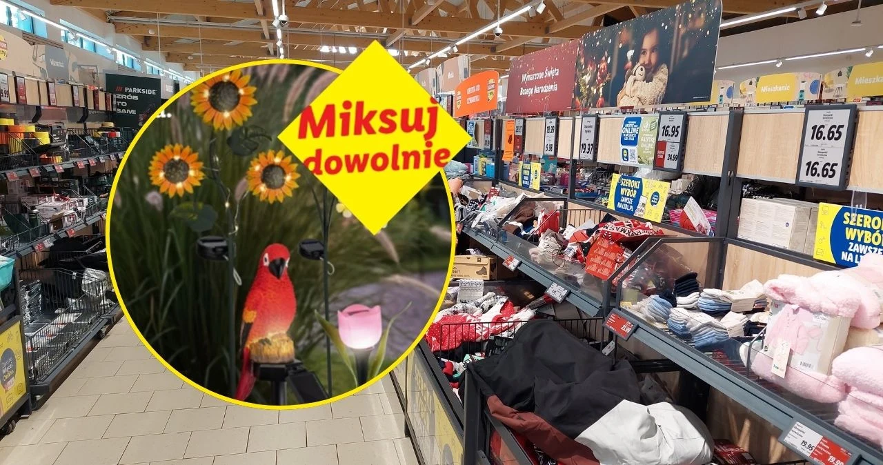 Lampy i doniczki -50% taniej – od jutra w Lidl, jeden trik i ogród wygląda inaczej Aneks sklepu Lidl z tekstyliami, ozdobami i akcesoriami, widoczne doniczki, lampka ogrodowa i figurka ptaka.