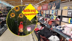 Lampy i doniczki -50% taniej - od dzisiaj w Lidlu, jeden trik i ogród wygląda inaczej