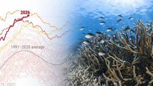 Według naukowców szanse na to, że w tym roku pojawi się El Niño, są wysokie. Może to być bardzo silne zjawisko