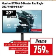 Monitor Iiyama