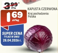 Kapusta czerwona