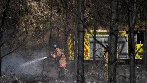 Dogaszanie pożaru w Georgii