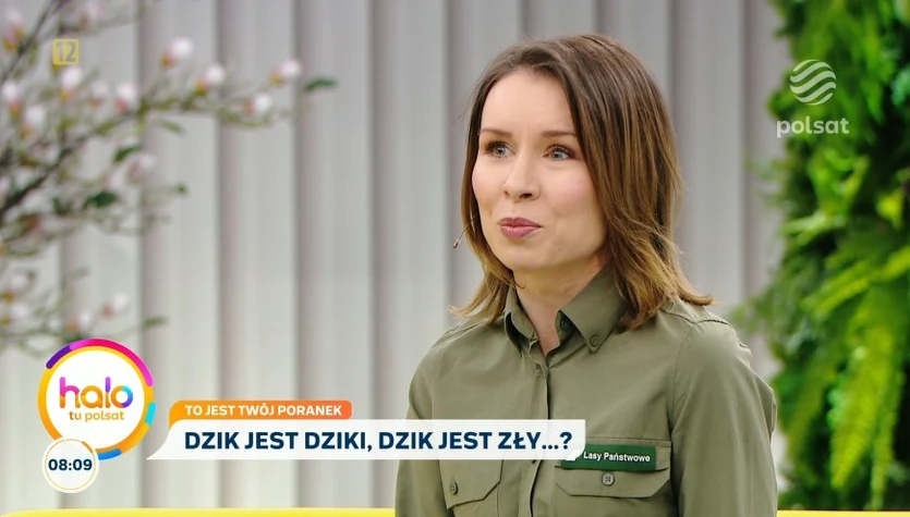 "Miastowe" dziki, czyli o nowych lokatorach naszych osiedli