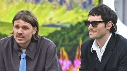 BEMY w "halo tu polsat"