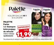 Farba do włosów Palette