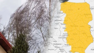 Silny wiatr nad Polską. IMGW wydał alerty, na liście dziewięć województw