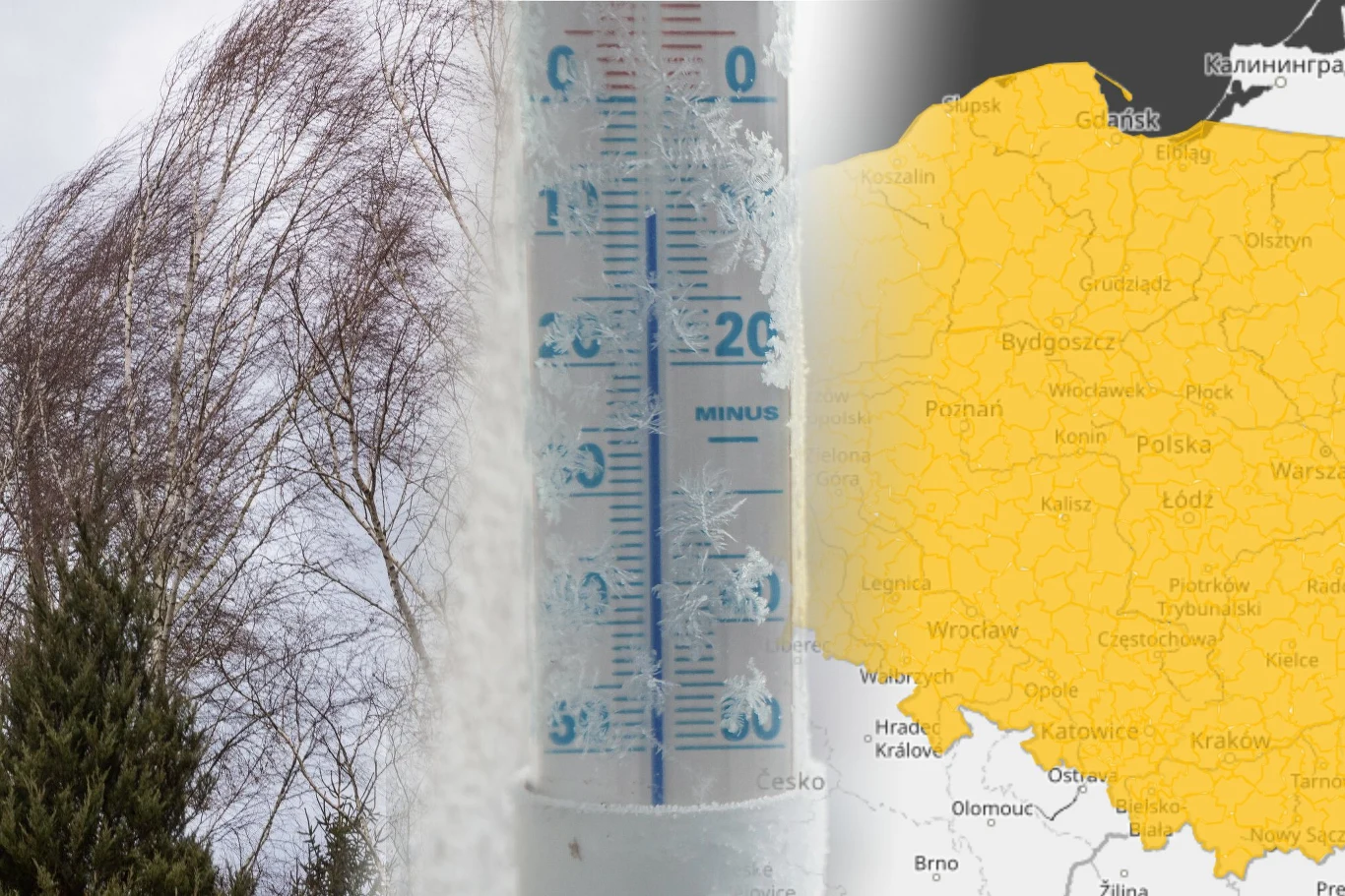 IMGW ostrzega przed silnym wiatrem i przymrozkami, pojawiły się ostrzeżenia Oblodzone drzewo, pochmurne niebo, termometr z minusową temperaturą, mapa Polski z żółtymi alertami IMGW.