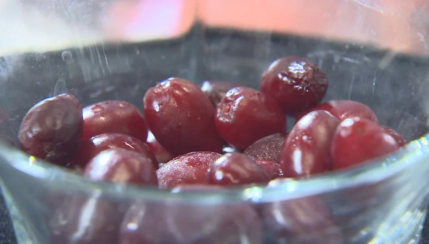 Dereń może pomóc polskim rolnikom. Owoce będzie można uprawiać też na północy kraju