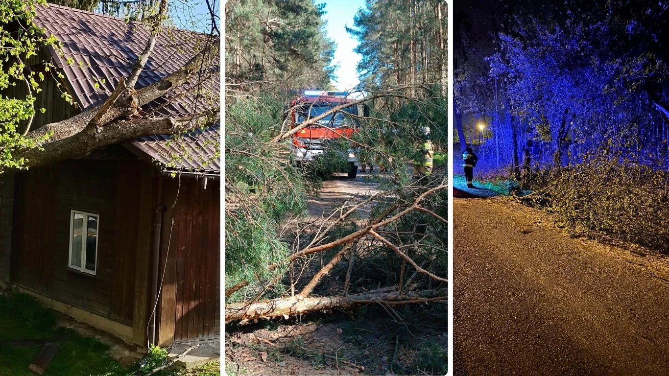 Tysiące interwencji strażaków w całej Polsce Połamane konary i powalone przez wiatr drzewa