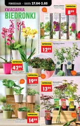 Smaczne okazje na dziś - Biedronka