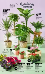 Zakupy pełne smaku – Netto