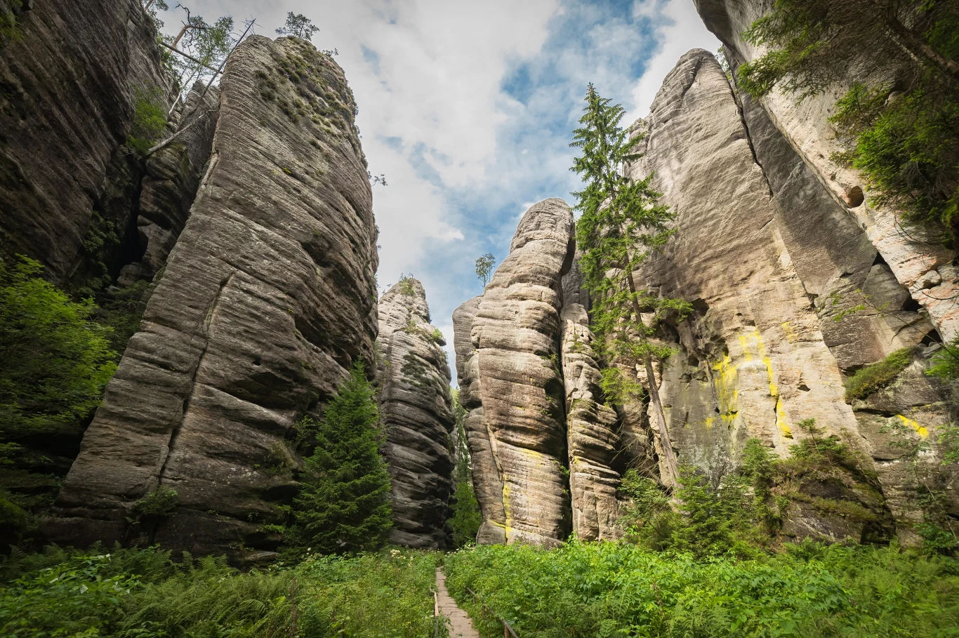 Wysokie, pionowe skały piaskowcowe otoczone gęstą zielenią i pojedynczymi drzewami, pomiędzy którymi prowadzi wąska ścieżka przebiegająca przez środek kanionu.