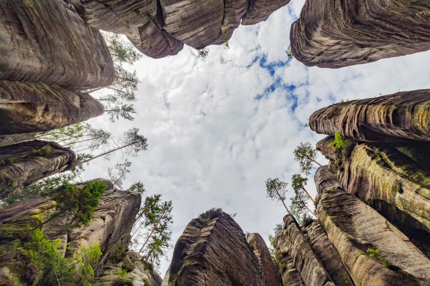 wysokie skały o stromych ścianach tworzą wąski wąwóz, z którego wyrastają smukłe drzewa, a nad nimi rozciąga się niebo pokryte chmurami