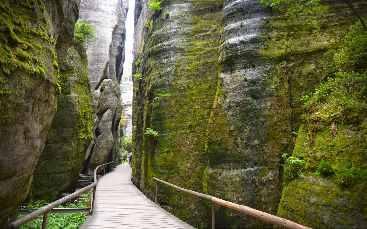 drewniana kładka prowadząca przez wąski skalny wąwóz porośnięty mchem i drobną roślinnością, otoczony wysokimi, majestatycznymi ścianami skalnymi