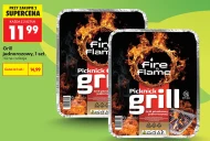 Одноразовий гриль Fire & Flame