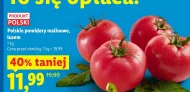 Pomidory Polski