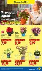 Zakupy pełne oszczędności - Lidl