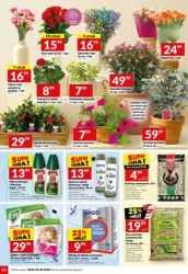 Grillowa majówka - Twój Market