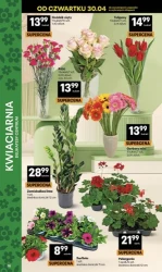 Grill patrol - Delikatesy Centrum