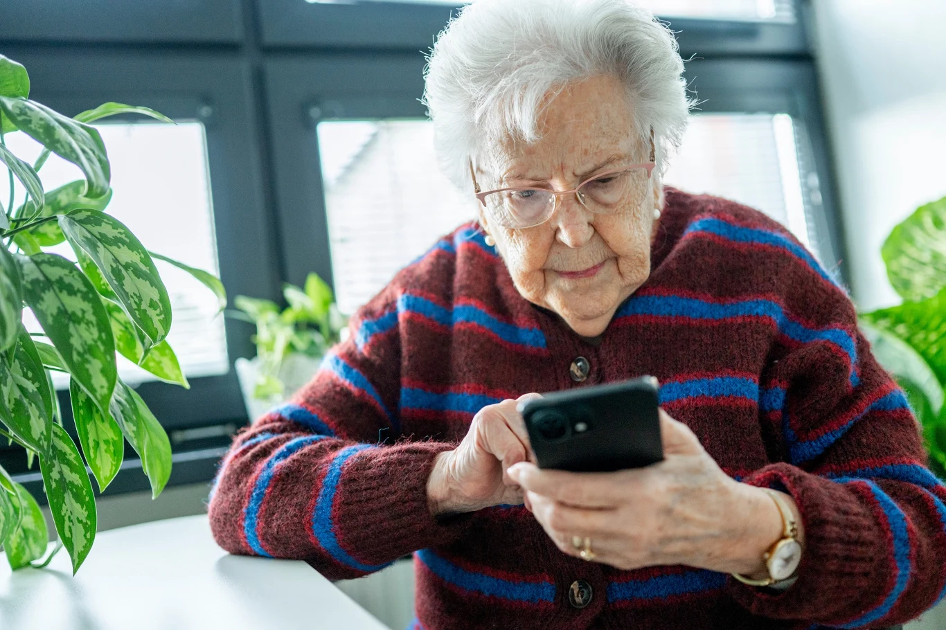 Oszuści podają się za pracowników ZUS i próbują wyłudzić pieniądze od seniorów Starsza kobieta w okularach korzysta ze smartfona przy stole, obok zielona roślina w jasnym pomieszczeniu.