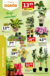 Strefa relaksu - Auchan Hipermarket