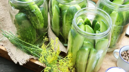 Ogórki "krokodylki" są chrupiące i wyraziste. Jak je przygotować? 
