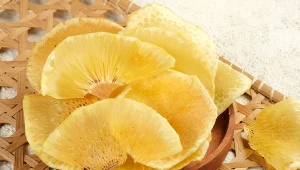 Suszony chlebowiec to wysuszony miąższ jackfruita, czyli chlebowca.