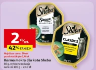 Mokra karma dla kota Sheba