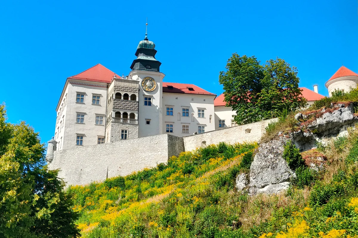 zamek z czerwoną dachówką i charakterystyczną wieżą zegarową górujący nad zielonym wzgórzem, otoczony kamiennym murem, na tle bezchmurnego, niebieskiego nieba