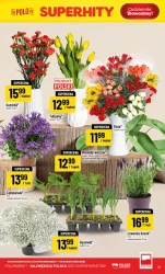 Grillowe inspiracje – Polomarket