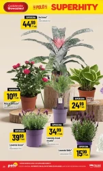 Rozpal promocje – Polomarket