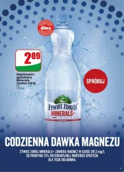 Dobre ceny na co dzień – Dino