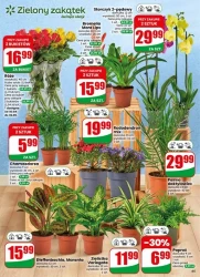 Dobre ceny na co dzień – Dino