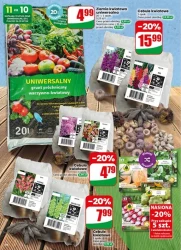 Dobre ceny na co dzień – Dino