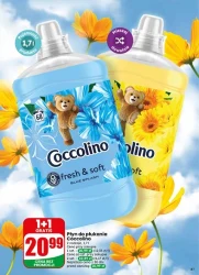 Dobre ceny na co dzień – Dino