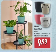 Doniczka Belavi
