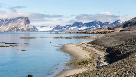 Kwiecień na Szpicbergenie jest teraz jak czerwiec