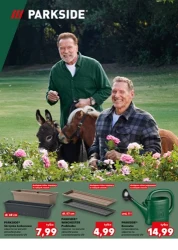 Wiosenne inspiracje ogrodowe - Kaufland