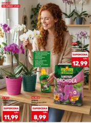 Wiosenne inspiracje ogrodowe - Kaufland