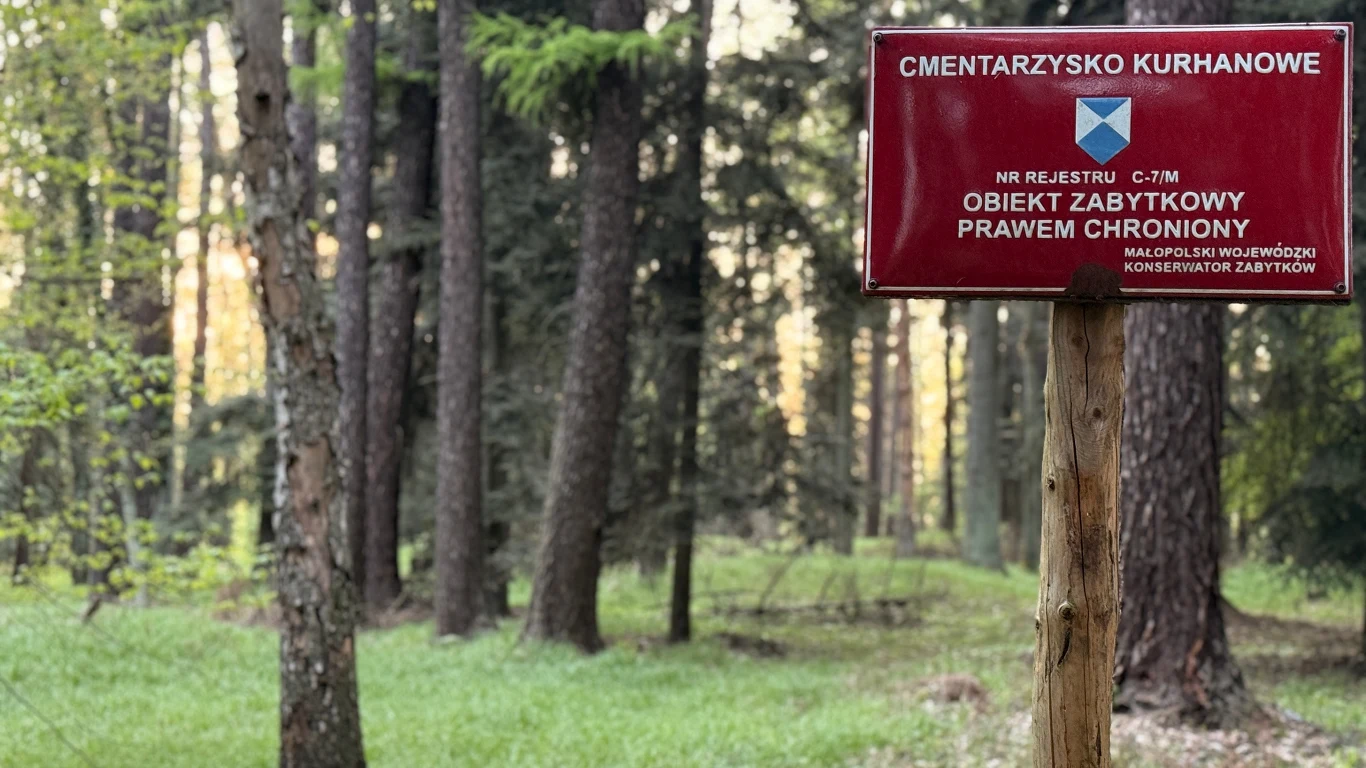 czerwony znak informacyjny z napisem 'Cmentarzysko kurhanowe' oraz informacją o ochronie prawnej obiektu zabytkowego ustawiony na tle gęstego lasu z wysokimi drzewami