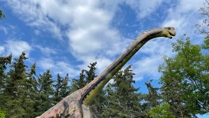 Tytanozaury były jednymi z największych dinozaurów w dziejach