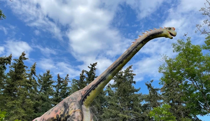 Tytanozaury były jednymi z największych dinozaurów w dziejach