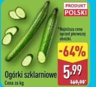 Огірки Polski