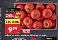 Pomidory Polski