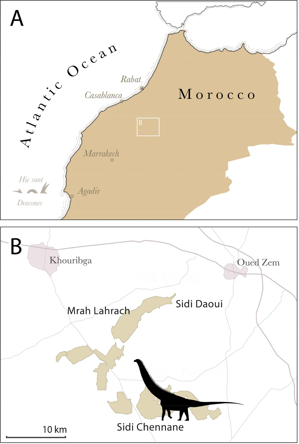 Mapa pokazuje położenie Maroka z oznaczeniem regionu wykopalisk oraz szczegółowe rozmieszczenie miejscowości Mrah Lahrach, Sidi Daoui, Sidi Chennane, Khouribga i Oued Zem w obrębie regionu, z sylwetką dinozaura zaznaczającą znalezisko paleontologiczne ...