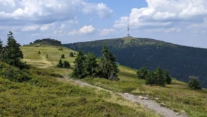 Pradziad w Czechach. Najwyższy szczyt Sudetów Wschodnich i najlepsze szlaki